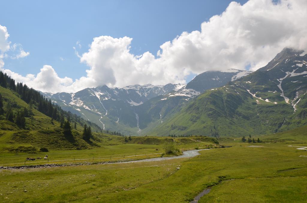 Winklers Gipfelblick Chalet, Inklusive Alpentherme - Ganzjaehrig, Gasteiner Bergbahn - Nur Sommer บาดฮอฟกัสไตน์ ภายนอก รูปภาพ
